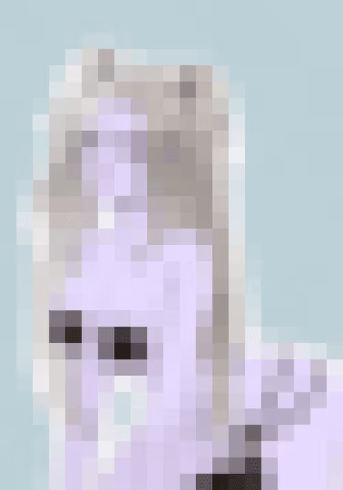 Item #111364213801302912064268614615003363350941918332683469775773350813141160363665 Media