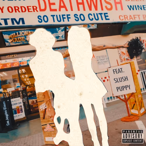 Death Wish #9