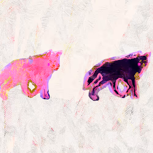 The Postcard Project