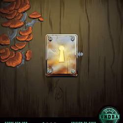 Uncommon Store [ECN-266]