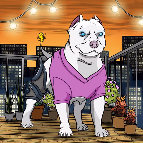 Petlife Femalebullies