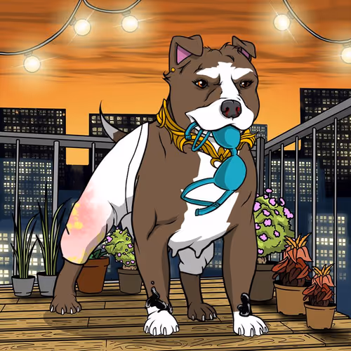 Petlife Femalebullies