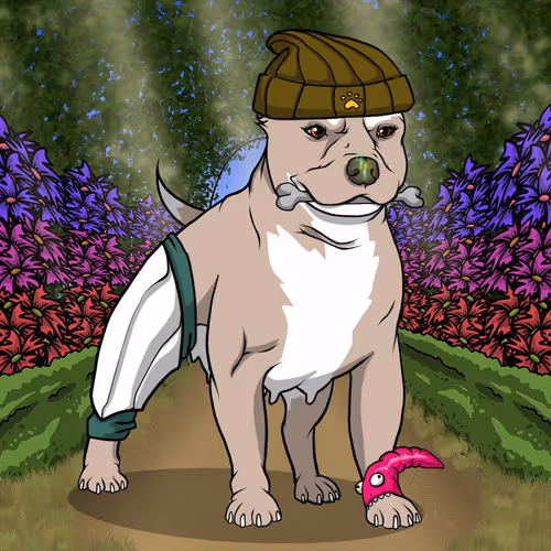 Petlife Femalebullies
