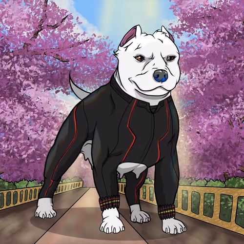 Petlife Femalebullies