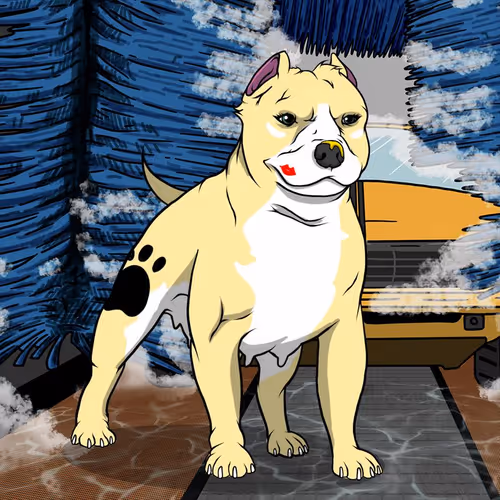 Petlife Femalebullies