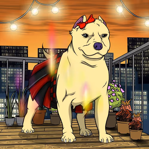 Petlife Femalebullies