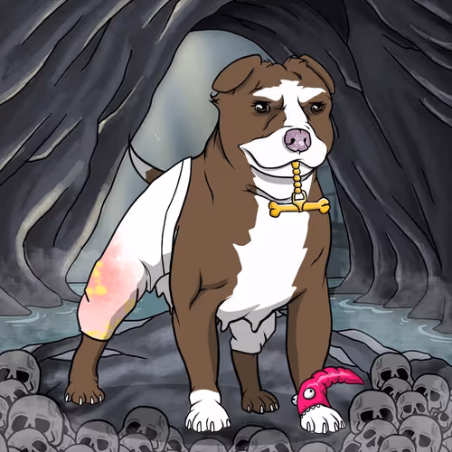 Petlife Femalebullies