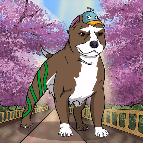 Petlife Femalebullies