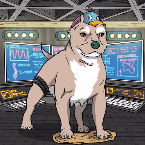 Petlife Femalebullies