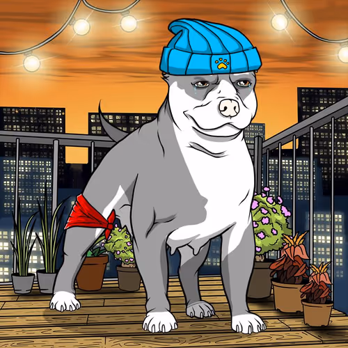 Petlife Femalebullies
