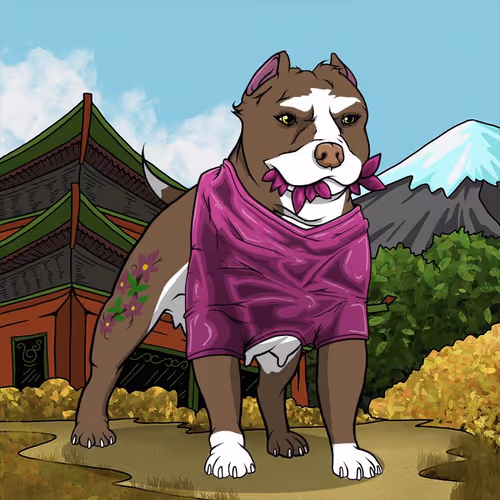 Petlife Femalebullies