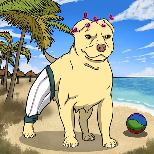 Petlife Femalebullies