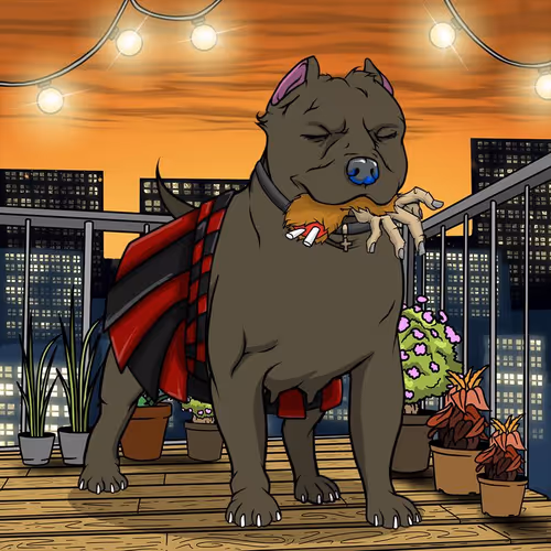 Petlife Femalebullies