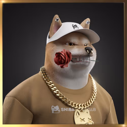 Shibasocialclubnewera