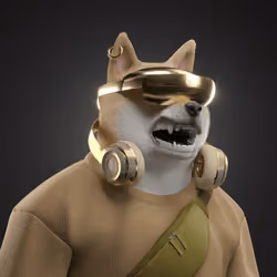 Shiba #2924