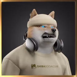 Shiba #3869