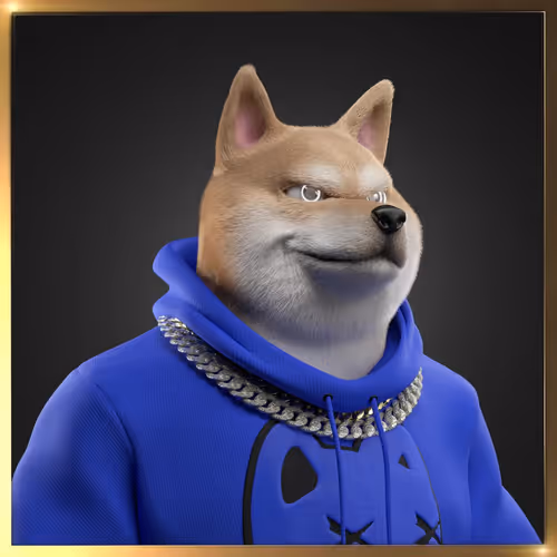 Shibasocialclubnewera