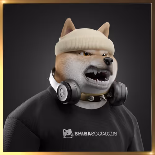 Shiba #2885