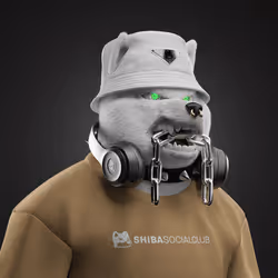 Shiba #484