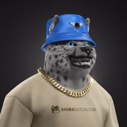 Shiba #926