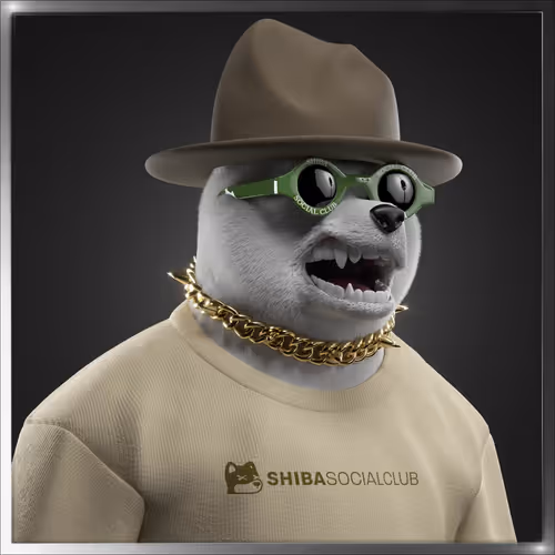 Shibasocialclubnewera