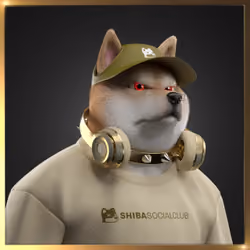 Shiba #1113