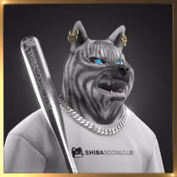 Shiba #3944