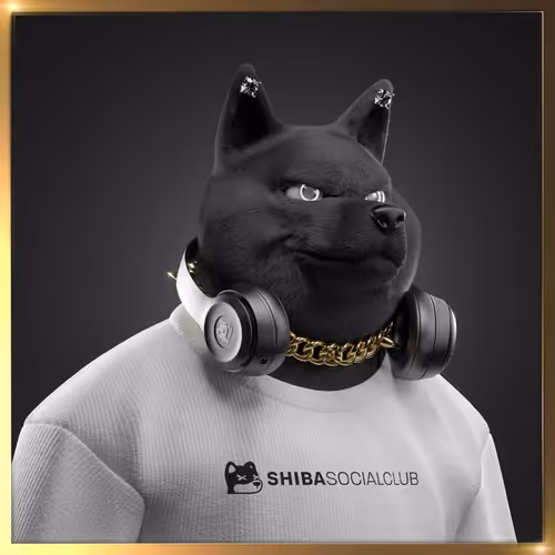 Shibasocialclubnewera