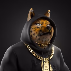 Shiba Pinnacle #59