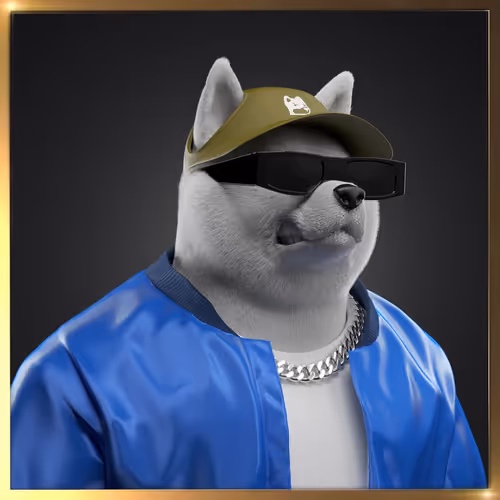 Shibasocialclubnewera