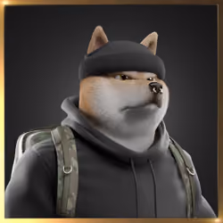 Shiba #3885