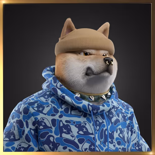 Shibasocialclubnewera
