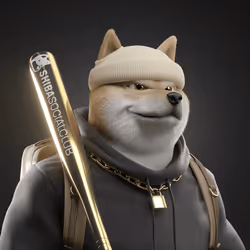 Shiba #2993