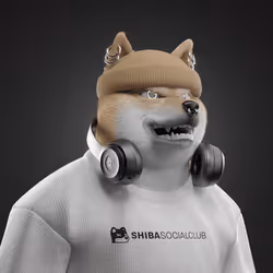 Shiba #5522