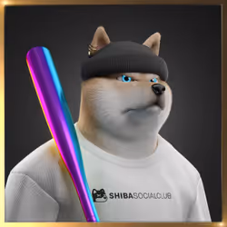 Shiba #4187