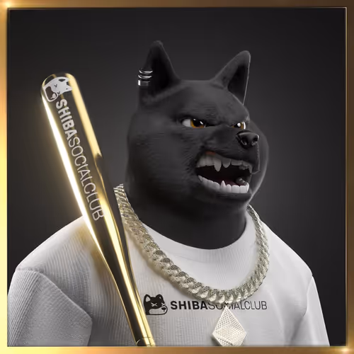 Shibasocialclubnewera