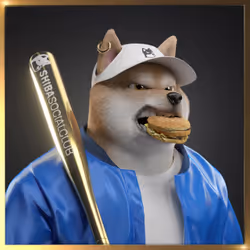 Shiba #5772