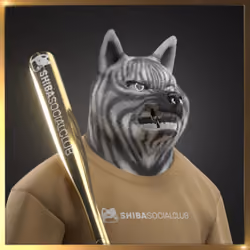 Shiba #6564