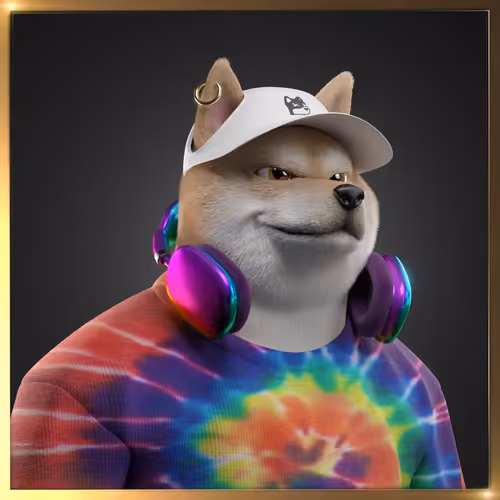 Shibasocialclubnewera