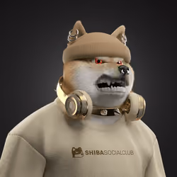 Shiba #325