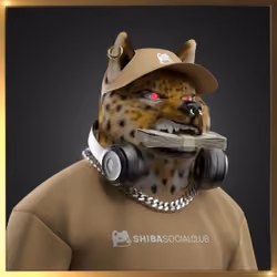 Shiba #3342