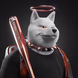 Shiba Pinnacle #55