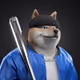 Shiba #1677