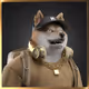 Shiba #6319