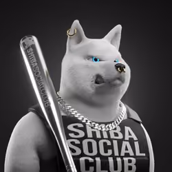 Shiba Pinnacle #20