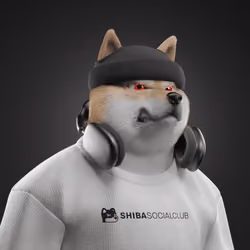 Shiba #5008