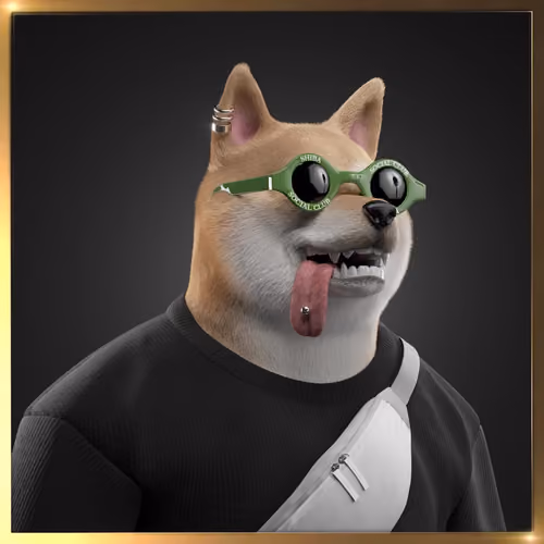 Shiba #1011