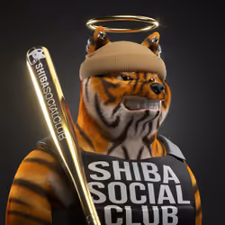 Shiba Pinnacle #66