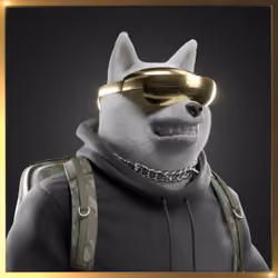 Shiba #6317