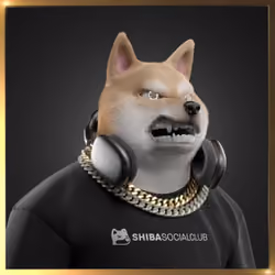 Shiba #5890